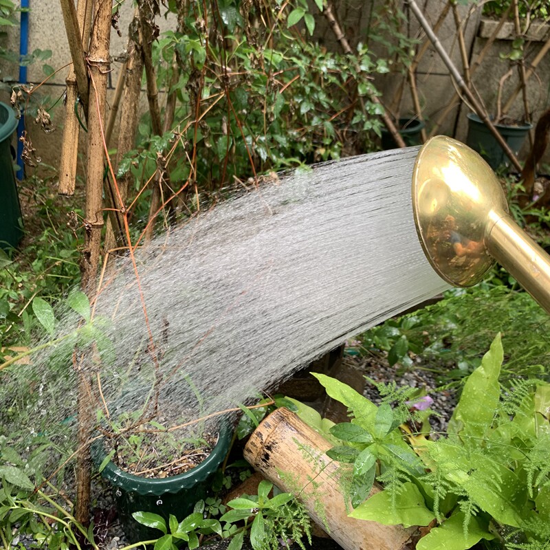 610目进口花洒头带开关 长柄如雨露 浇花盆景院户花洒神器TAKAGI