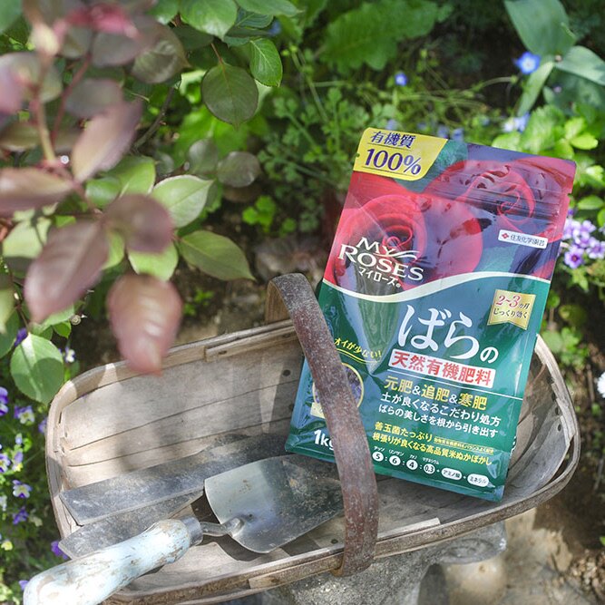 长效花卉追肥有机肥缓释肥颗粒控释肥日本产住友底肥寒肥三月肥效