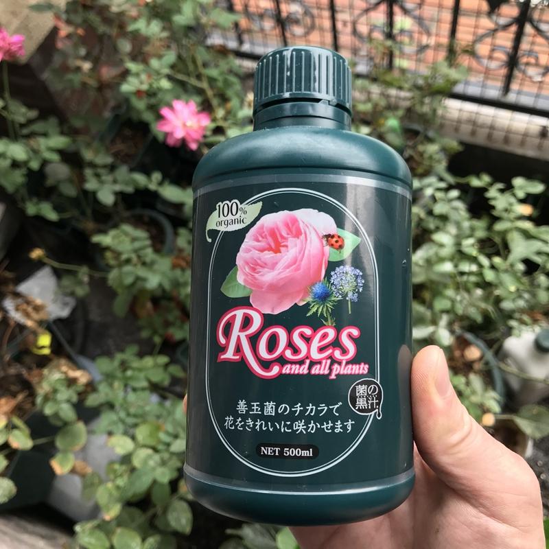 生根水黑汁水溶肥进口