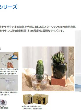 AS树脂日本产水培学生看根