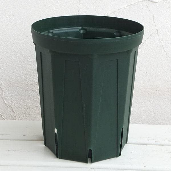 18cm日本产青山盆树脂控根加深盆铁筷子蓝莓月季铁线莲1.5加仑