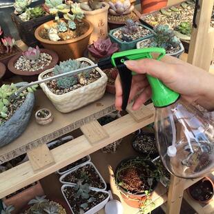 喷药喷雾707 日本制 园艺水壶 瓶身可倒置 705 超细水雾长嘴喷壶