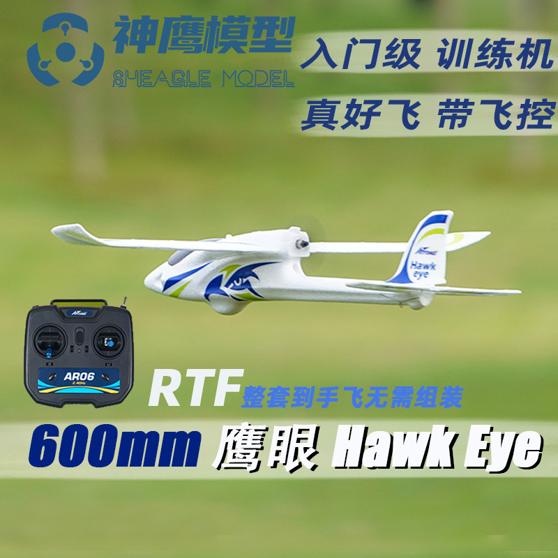 600mm鹰眼新手背推入门固定翼初学者遥控电动模型飞机带飞控更稳