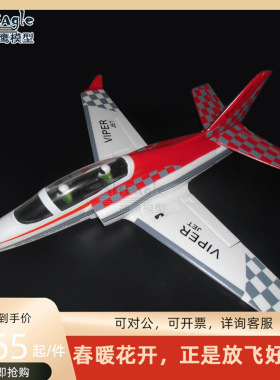 毒蛇VIPER升级j版 50MMEPO高速涵道机 电动遥控航模飞机 11叶涵道