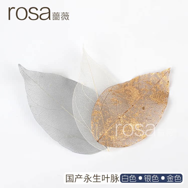 薔薇永生花白色銀色金色葉脈干花書簽保鮮花DIY三色可選