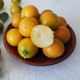 广西桂林阳朔脆皮金桔大果蜜甜纯甜无酸新鲜水果光皮青皮金橘 包邮