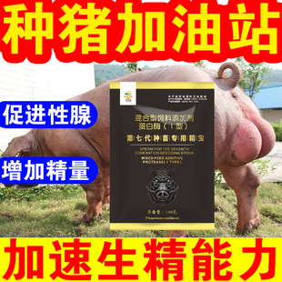 公猪药种猪公猪旺公猪保健提升爬跨能力速补多维猪配种多产仔