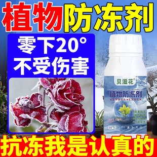 养花专用防冻剂浓缩植物营养液防寒抗冻盆栽花卉绿植多肉越冬低温