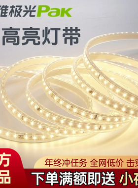 三雄极光led灯带220v光河系列2835软灯条超亮60珠灯带非户外亮化