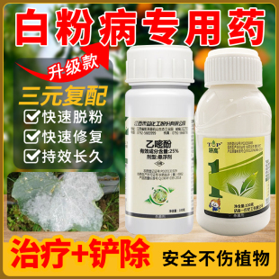白粉病专用药植物黄瓜茄子辣椒西红柿柑橘果树乙嘧酚杀菌剂农药