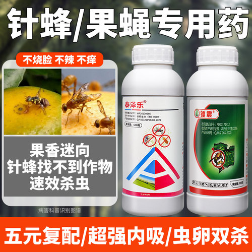 针蜂果蝇效特专用药果树园林水果瓜实潜灭蝇蔬菜残杀威农药杀虫剂