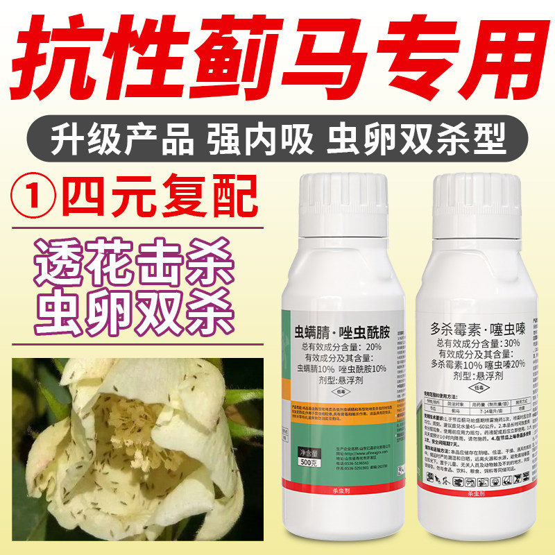 蓟马效特专用药虫卵双杀果树茄子辣椒多杀霉素唑虫酰胺豆角杀虫剂