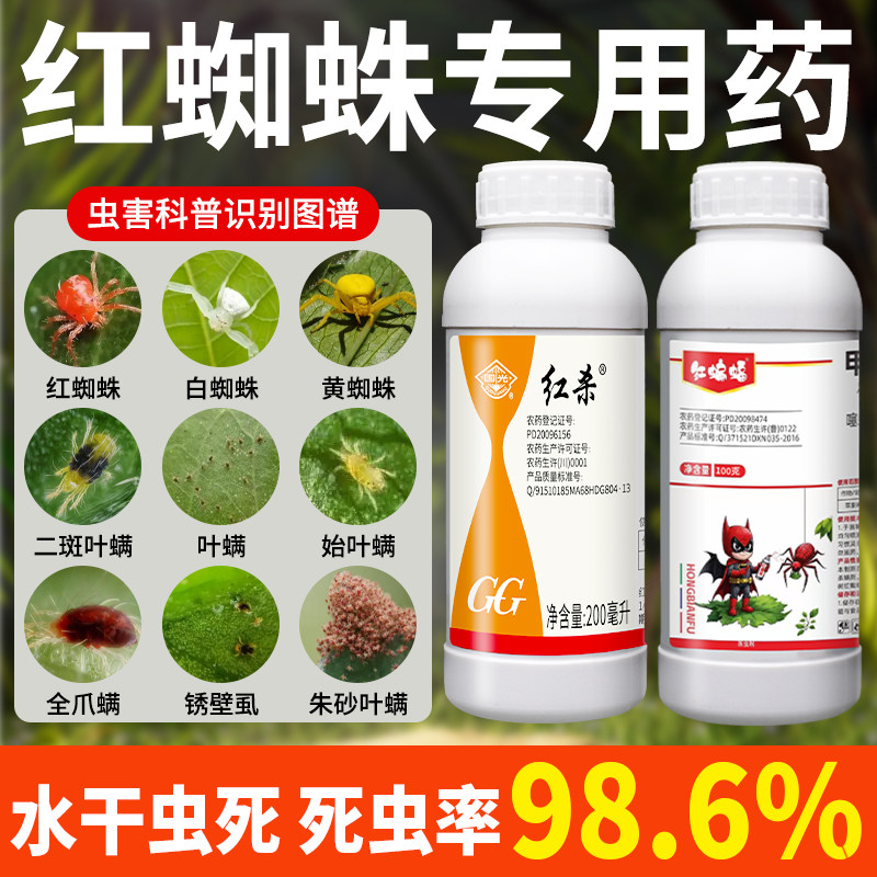 红蜘蛛效特专用虫卵双杀虫药剂草莓辣椒黄瓜柑橘果树甘蓝茄子农药