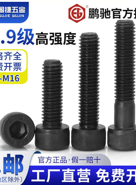 M2-M20鹏驰12.9级合金钢高强度圆柱头内六角螺丝黑色螺栓杯头螺钉