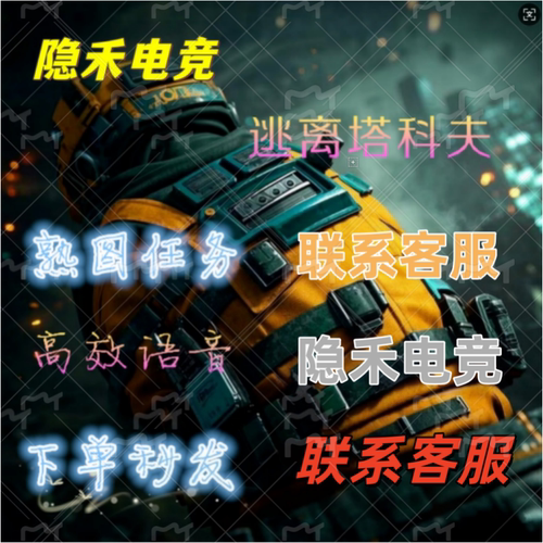 塔科夫保镖陪打代练任务技能卢布
