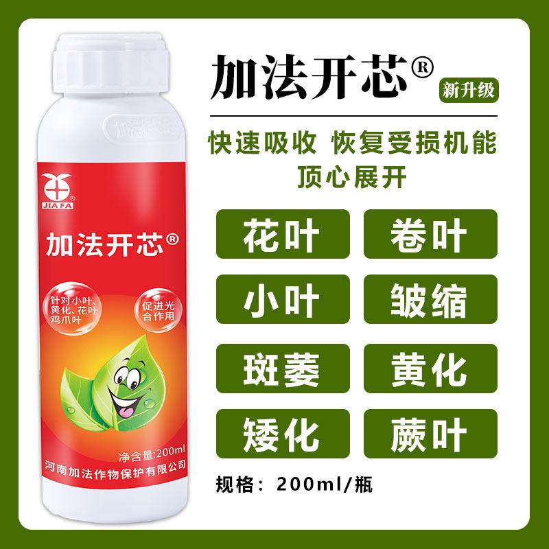 加法开芯卷叶小叶黄化病专用药辣椒番茄西葫芦花叶专用药