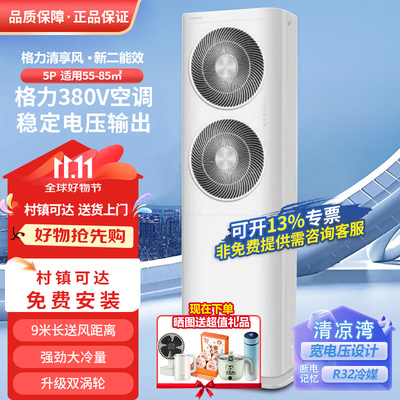 格力清享风柜机5匹1级能效空调