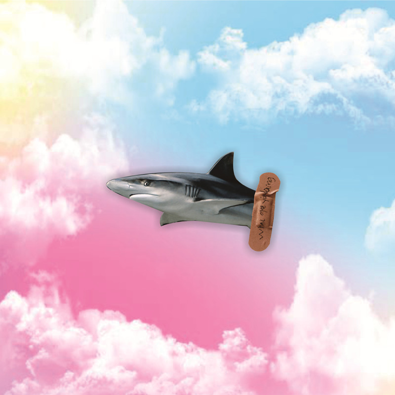 鲨鱼海底世界大白鲨遮划痕贴纸