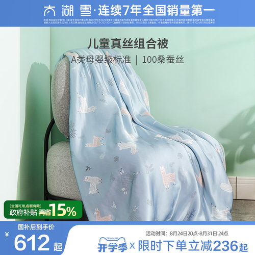 太湖雪100%桑蚕丝被夏凉被薄款