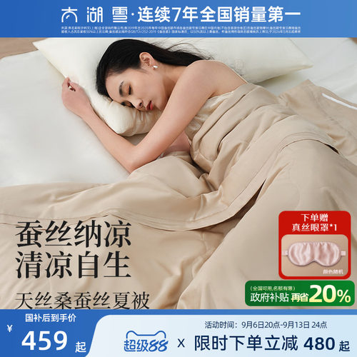太湖雪100%桑蚕丝填充夏被