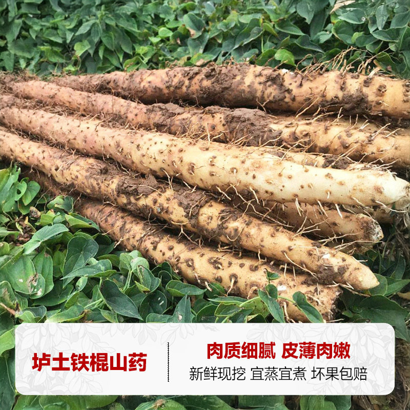 西域美农河南温县垆土铁棍山药4.5斤生鲜蔬菜粉糯香甜怀山药礼盒