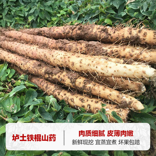 西域美农温县垆土铁棍山药4.5斤