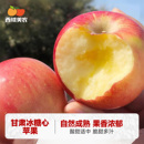 西域美农甘肃冰糖心苹果4.5斤脆甜多汁新鲜水果整箱