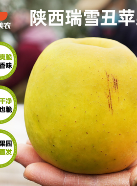 西域美农陕西瑞雪苹果4斤生鲜水果三拼苹果新鲜当季整箱顺丰