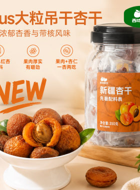 西域美农大粒树上杏干350g