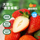 西域美农香至1.8斤露天大凉山新鲜奶油草莓烘焙应季 水果顺丰空运