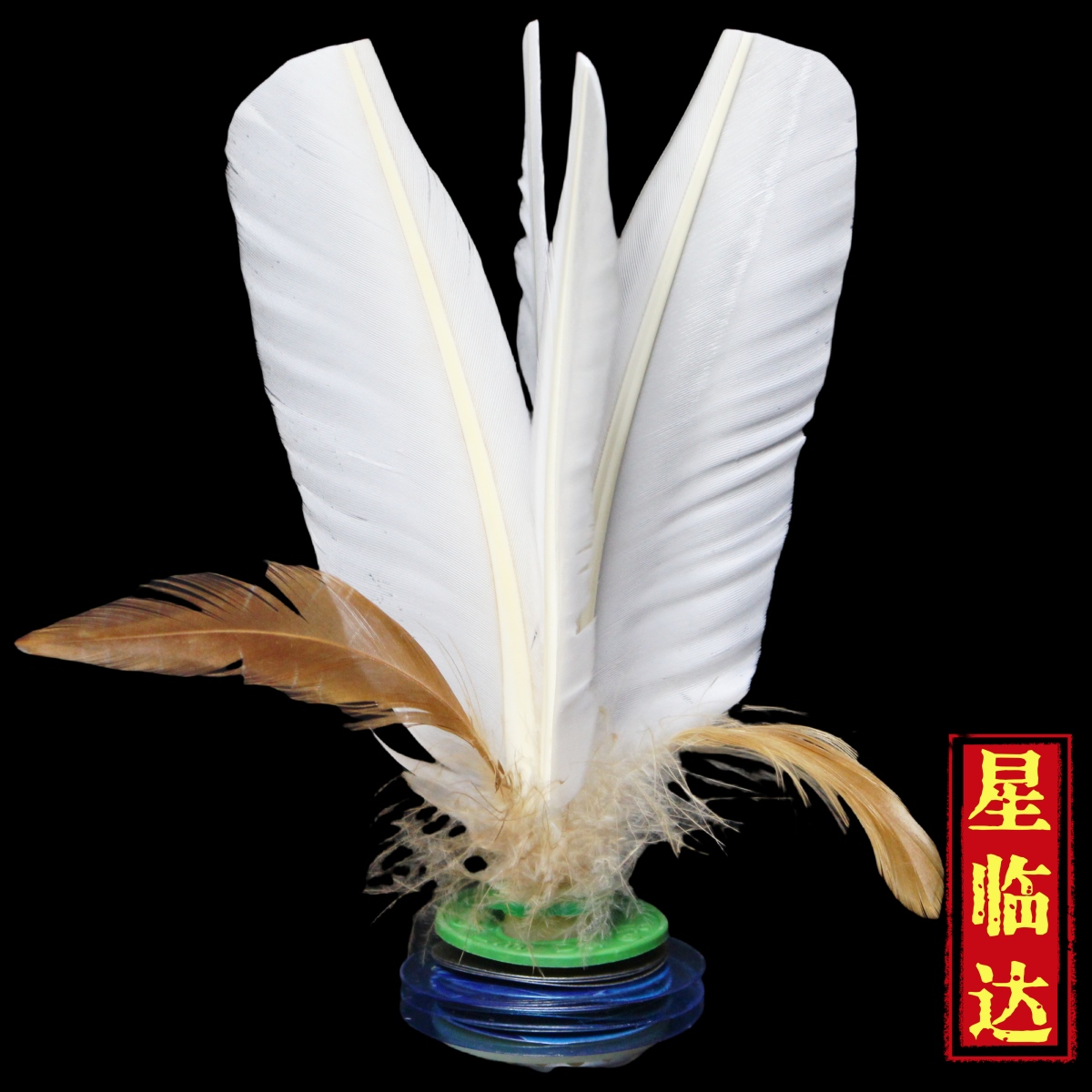 星临达丹东大白毽子可拆装换毛成人学生锻炼健身围踢直毛防风毽球