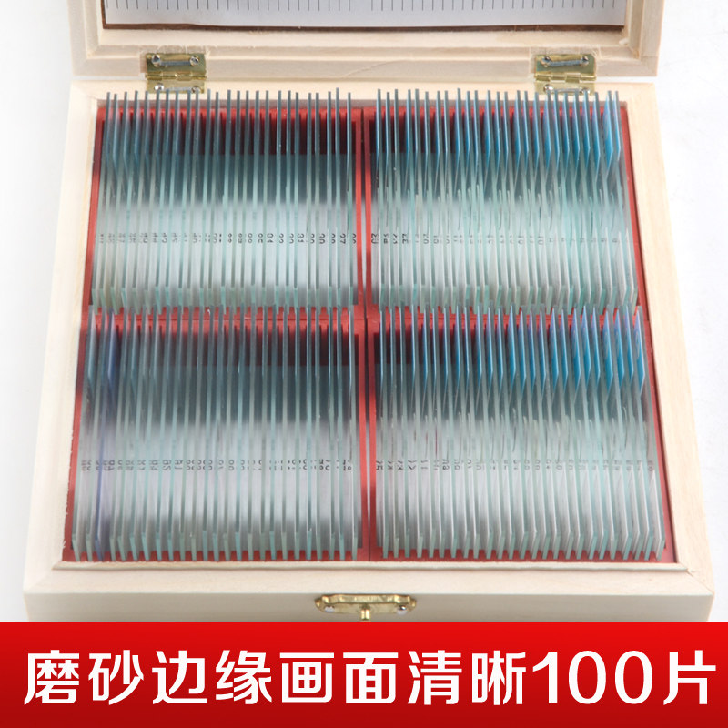 生物切片显微镜标本实验玻片