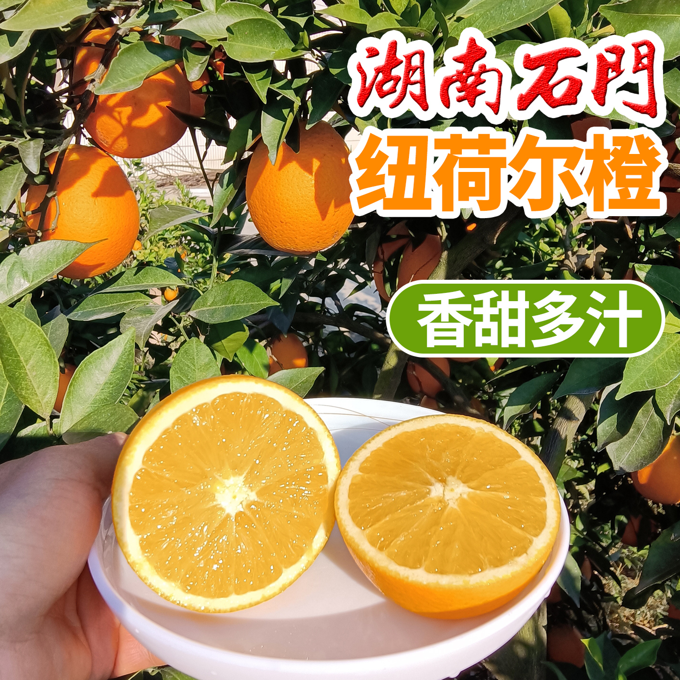 正宗湖南石门纽荷尔脐橙净果重9斤香甜多汁新鲜当季橙子现摘现发