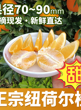 正宗湖南石门纽荷尔脐橙柑橘常德橙子现摘新鲜水果早熟当季水果橙