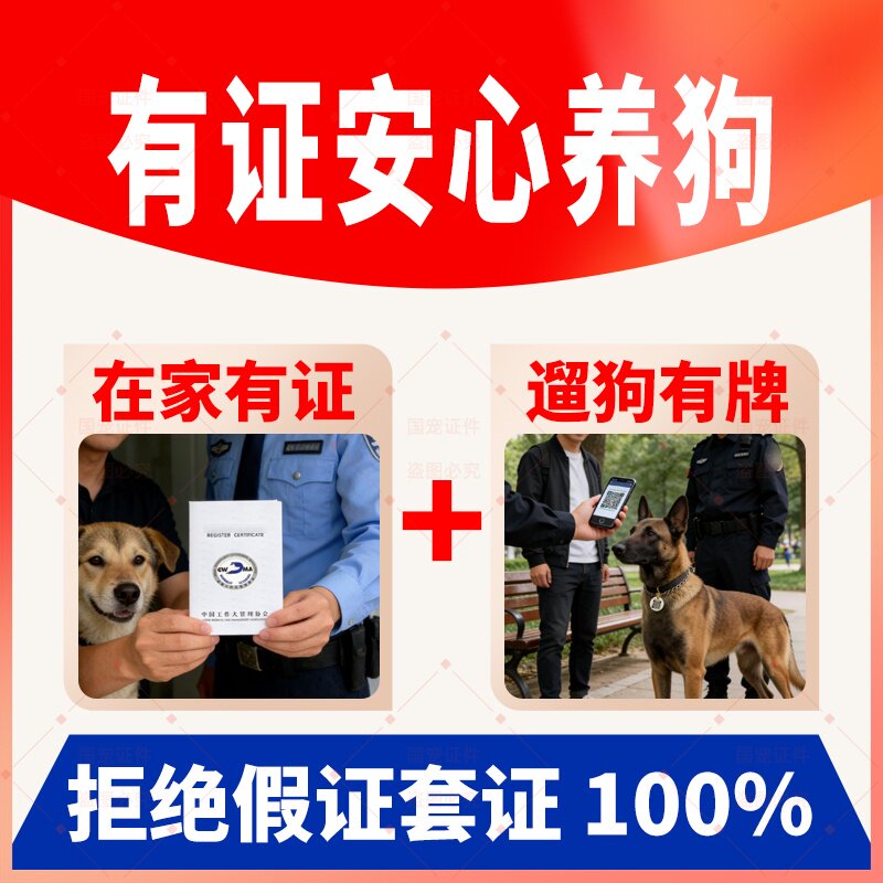 犬籍证狗证注册血统证工作犬证件大型禁养犬证伴侣搜救安慰犬证明