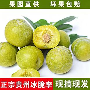 贵州李子新鲜酸甜可口青脆李皮薄多汁应季四月李子脱骨5斤装包邮