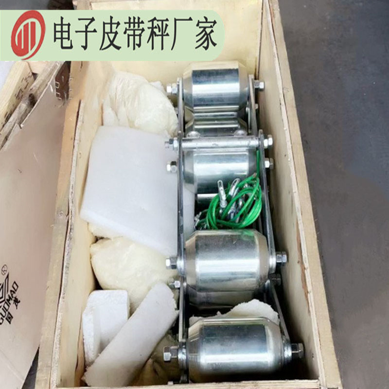 160公斤皮带秤链码厂家KG/M千克公斤每米电子皮带秤304不锈钢链码