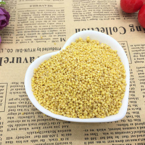 鹿娜塔-蛋小米虎皮牡丹玄凤鹦鹉鸟食饲料补充营养断奶过渡学吃粮