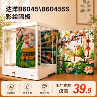 达洋B6045彩绘隔板B6045SS鸟笼透明卡通图案防打架分隔板透明挡板