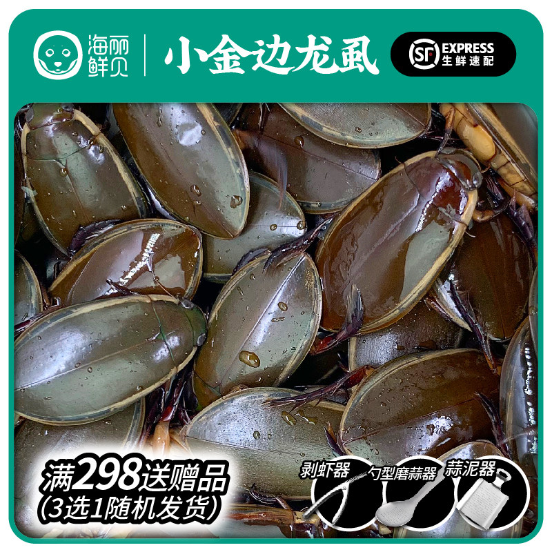 鲜活小金边龙虱活体野生水蟑螂中药材水甲虫水龟子射尿龟500g顺丰