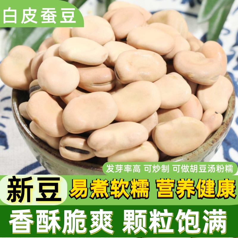 干蚕豆5斤新蚕豆煮胡豆汤生发芽