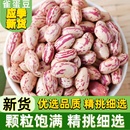 云南雀蛋豆5斤农家自产新鲜四季 豆米饭豆子五谷杂粮花芸豆类大全