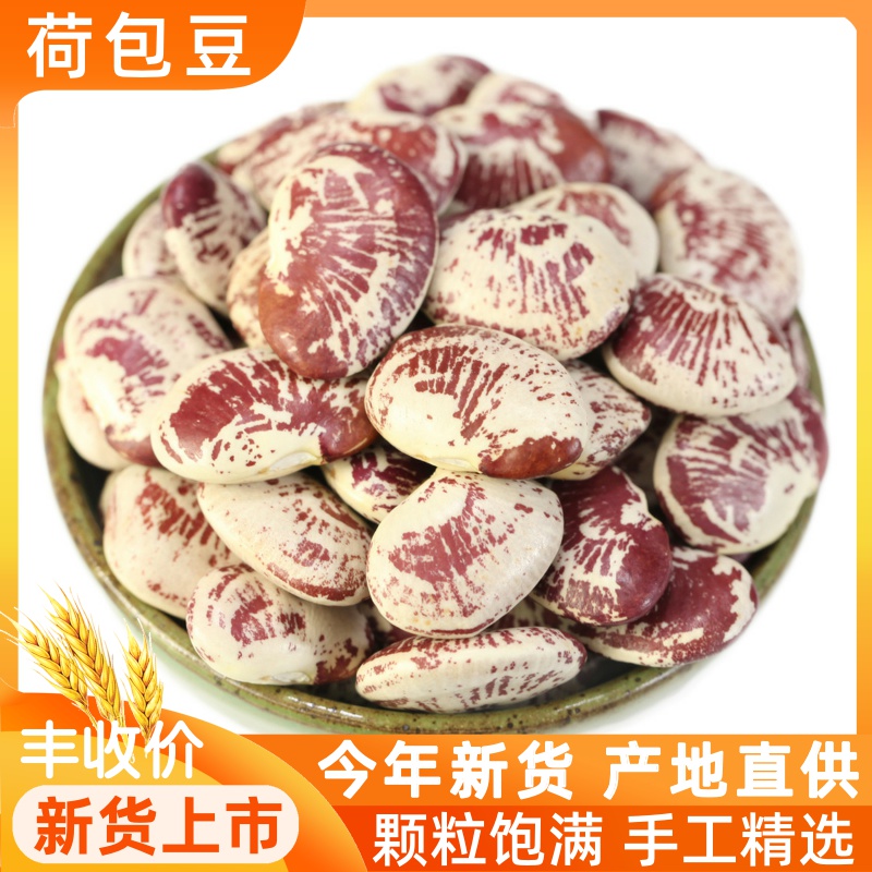 荷包豆500g状元豆皇帝豆富贵豆花纹斑马豆耳豆煲汤煮粥大芸豆云豆