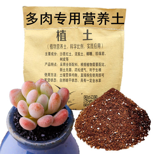 22年最新款多肉类土