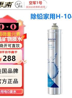 PENTAIR滨特尔爱惠浦EVERPURE净水器H-104S升级版主滤芯EV961216