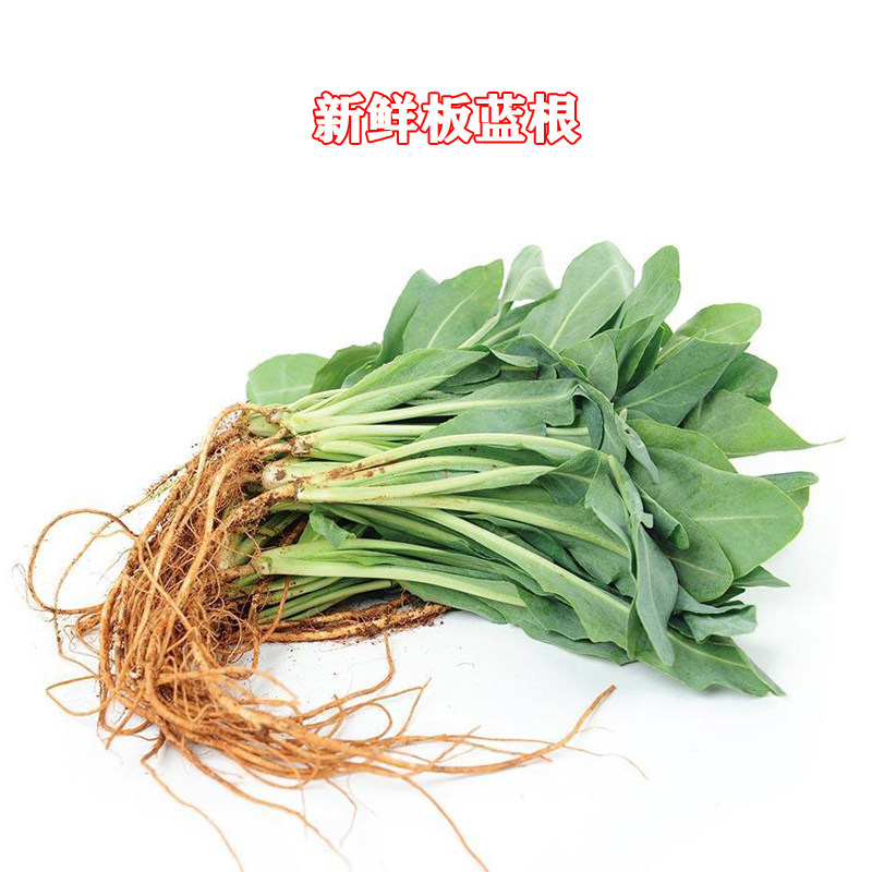 1kg顺丰包邮 云南特产新鲜板蓝根大青叶蔬菜特色菜酒店食材