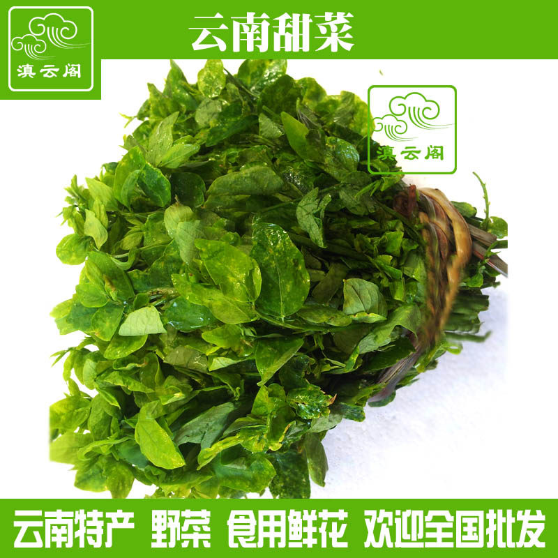 1000克新鲜甜菜树豆尖越菜口味香美鲜甜蔬菜煮吃小炒火锅农家菜