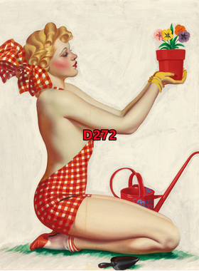 D272【美国】厄尔·K·贝吉（Earle K. Bergey）绘画插图海报图库