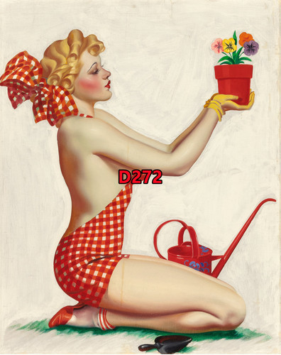 D272【美国】厄尔·K·贝吉（Earle K. Bergey）绘画插图海报图库