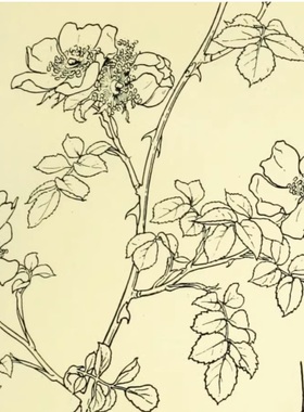 D099【英国】 Ernest Ellis Clark 植物形态装饰花纹设计电子图.